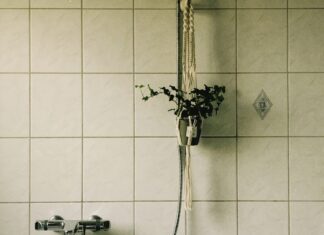 Plants in a bathroom